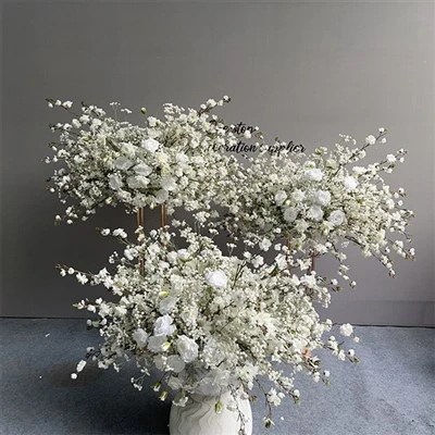 Gypsophila esküvői központok